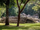 Mex-20121020 005 : 2012, Mexico, Yaxchilan, Yucatan